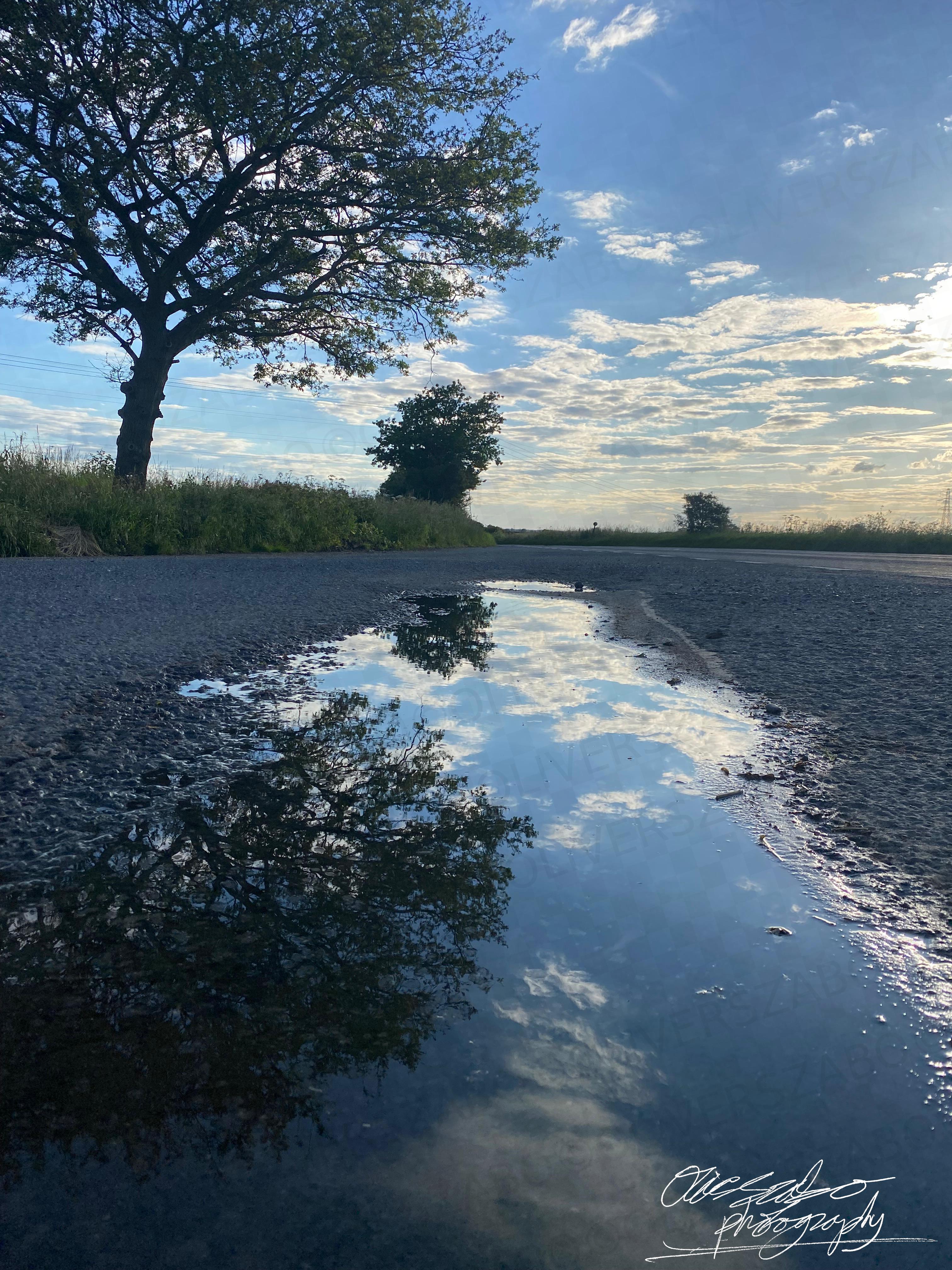 Puddle Reflection